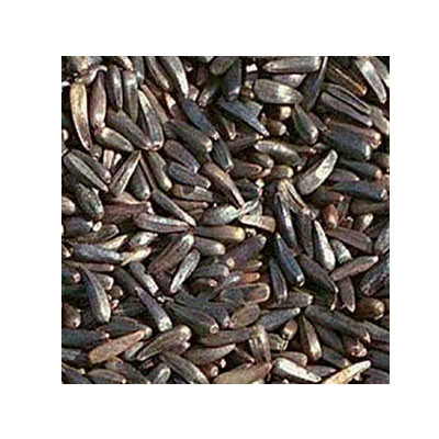 Niger Seed Manufacturers in China