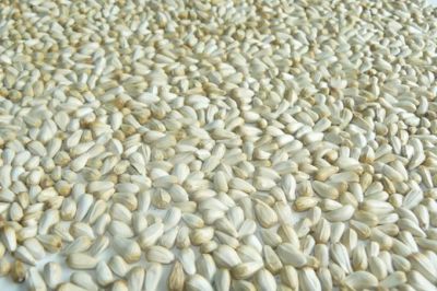 Safflower Seed Manufacturers in Indonesia
