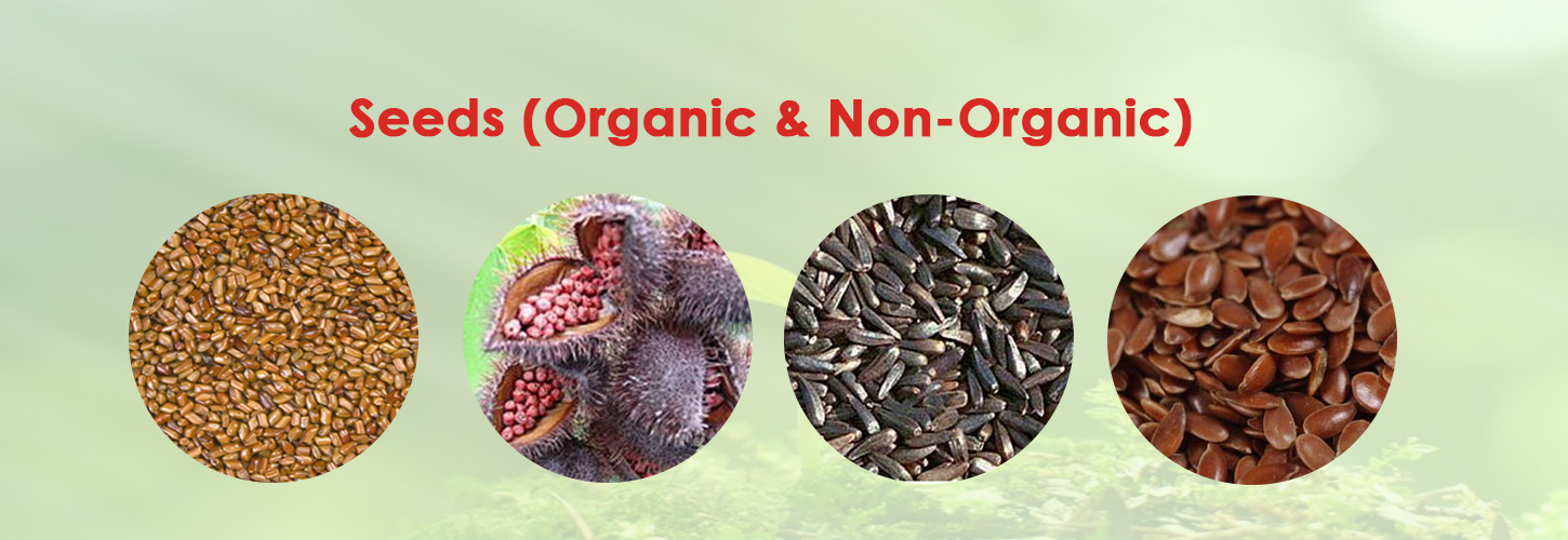 Seeds (Organic & Non-Organic)