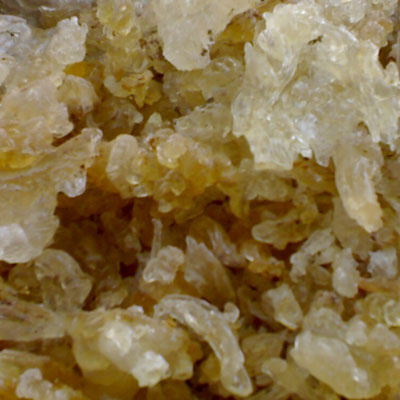 Karaya Gum Manufacturers in Chhattisgarh