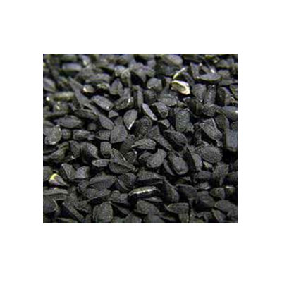 Nigella Sativa Seeds Manufacturers in Uk