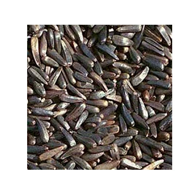 Niger Seed Manufacturers in Taiwan